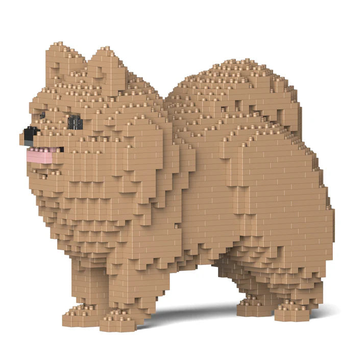 Pomeranian 02-M04