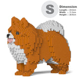 Pomeranian 02-M05