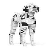 Dalmatian 01-M01