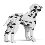 Dalmatian 01-M01