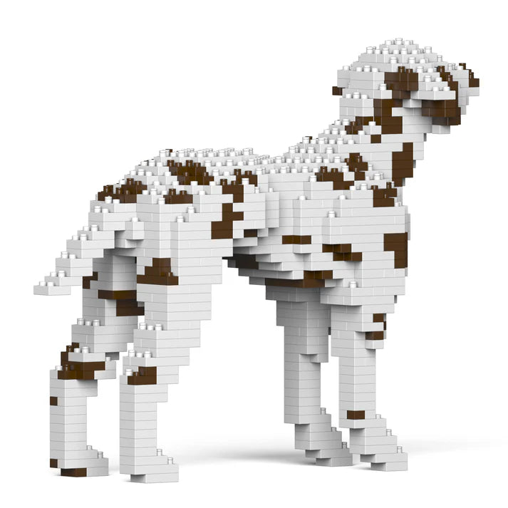 Dalmatian 01-M02