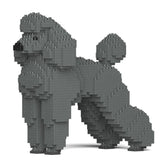 Standard Poodle 01-M03