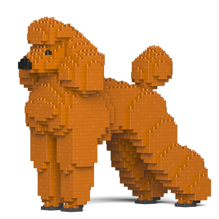 Standard Poodle 01-S13