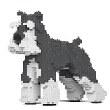 Standardschnauzer 01-M01 