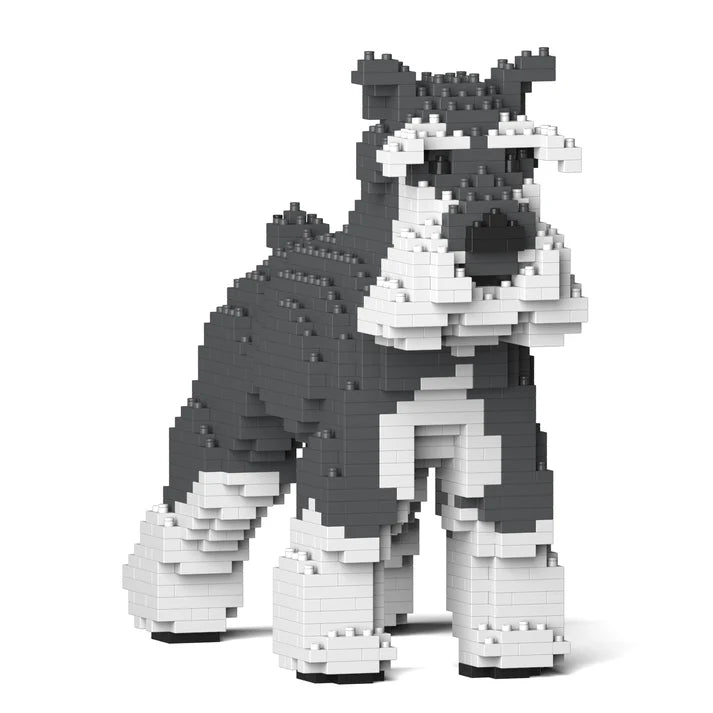 Schnauzer estándar 01-M01 