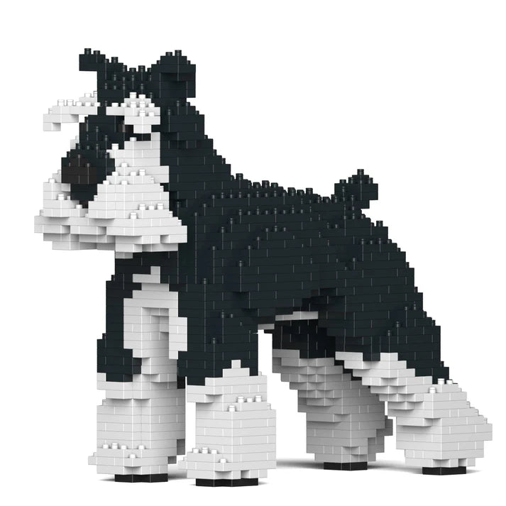 Standardschnauzer 01-M02B 