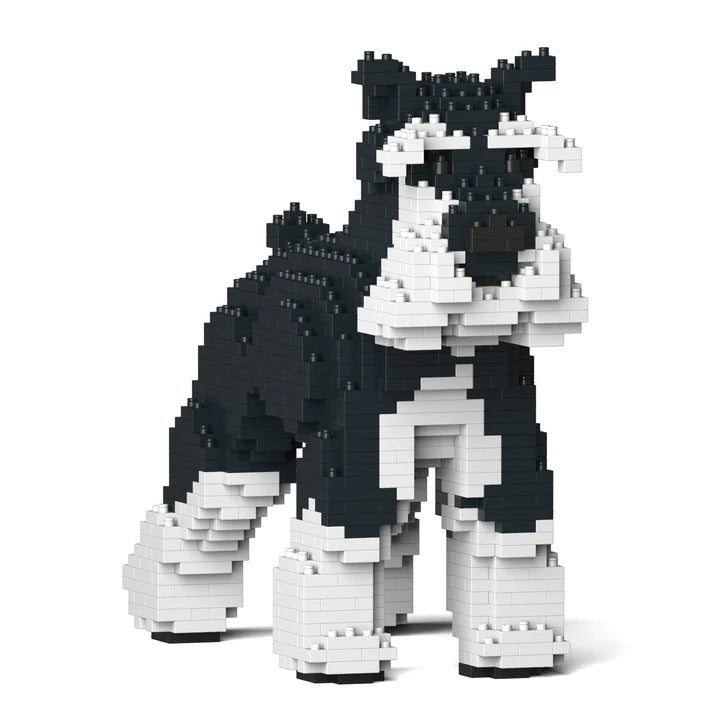 Standardschnauzer 01-M02B 