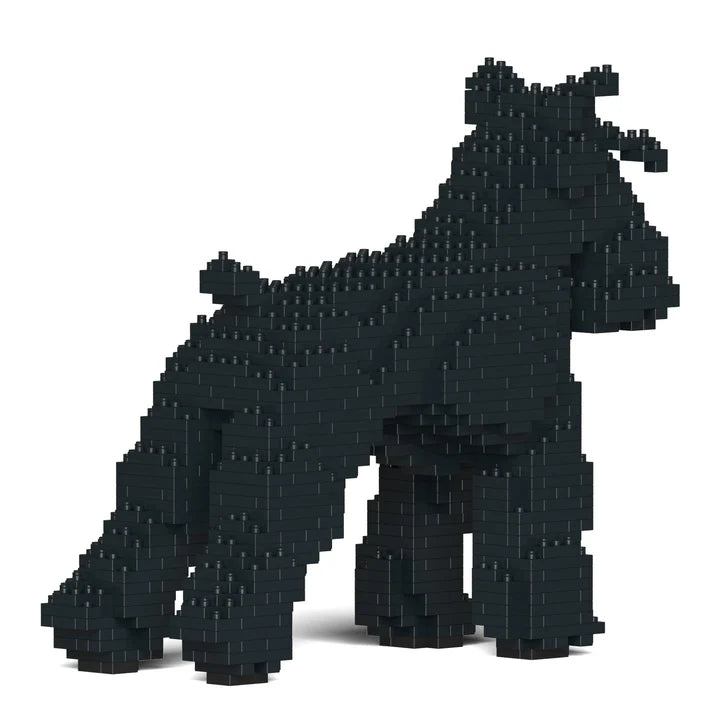 Standardschnauzer 01-M03 