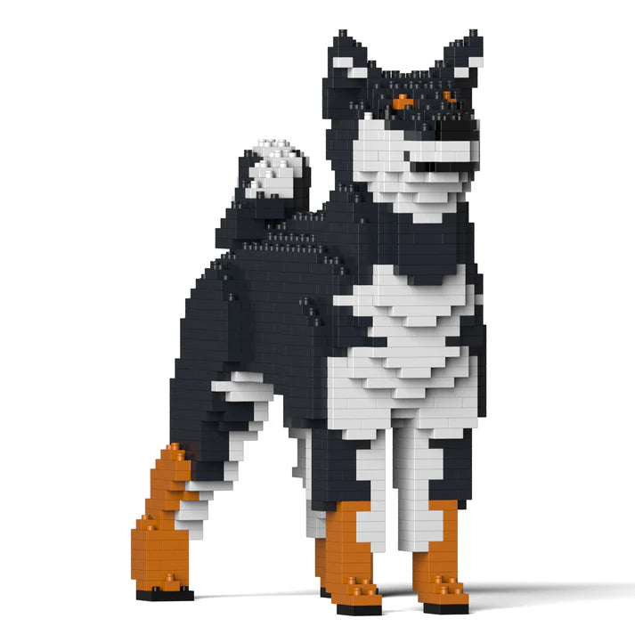 Shiba Inu 01-M02 