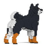 Shiba Inu 01-M02 