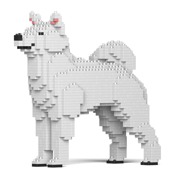 Shiba Inu 01-M03