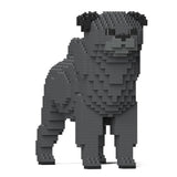 Pug 01-M04 