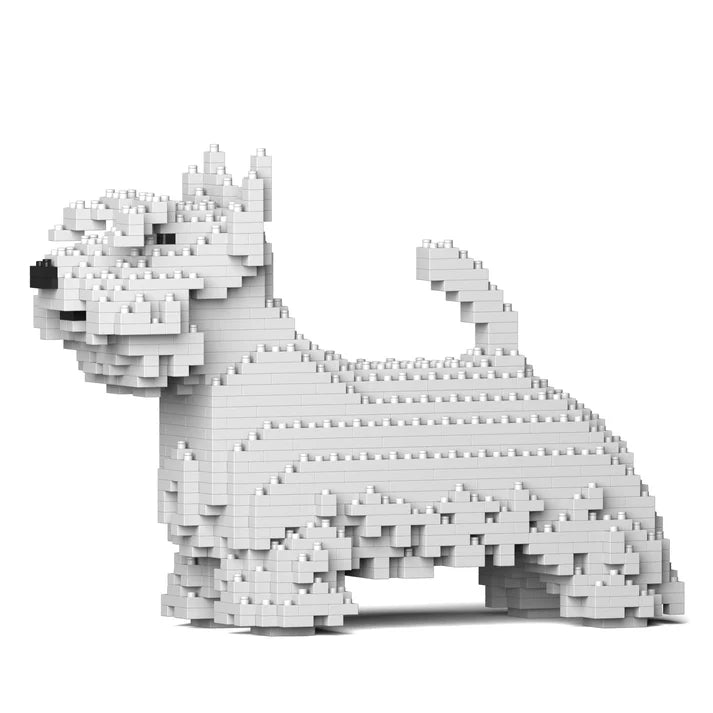 Scottish Terrier 01-M02 