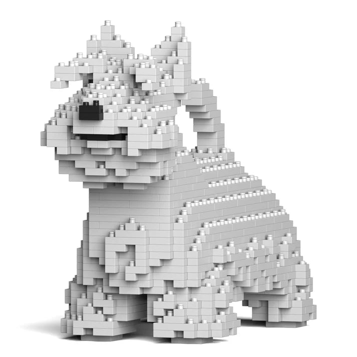 Scottish Terrier 01-M02 