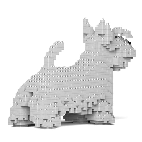 Scottish Terrier 01-M02 