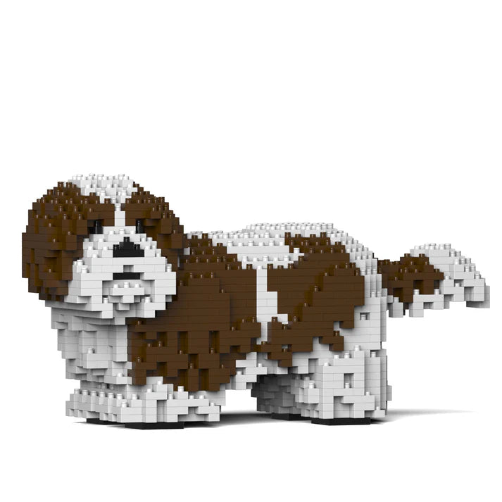 Shih Tzu 01-M01 