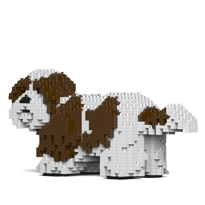 Shih Tzu 01-M01 