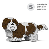 Shih Tzu 01-M01