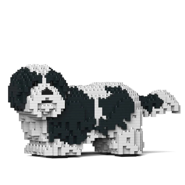 Shih Tzu 01-M02