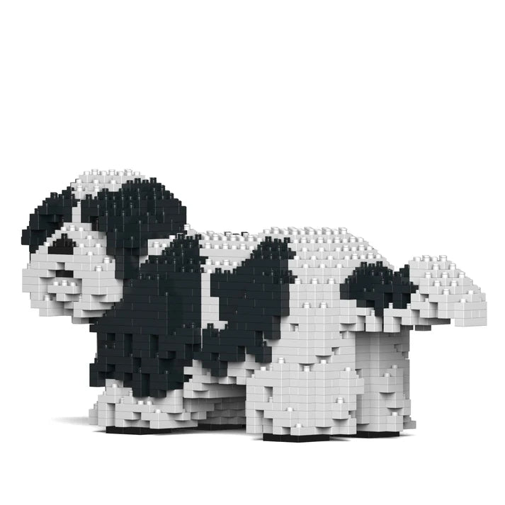 Shih Tzu 01-M02 