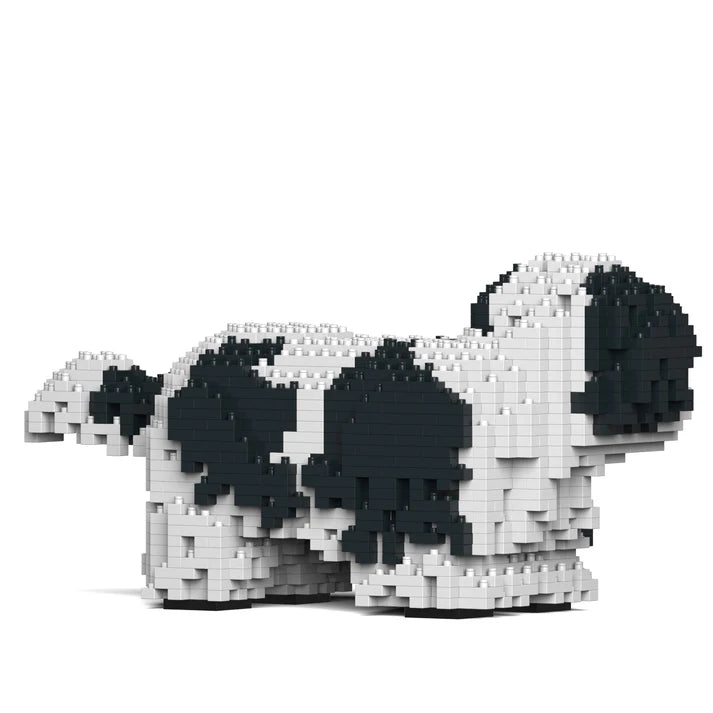 Shih Tzu 01-M02 