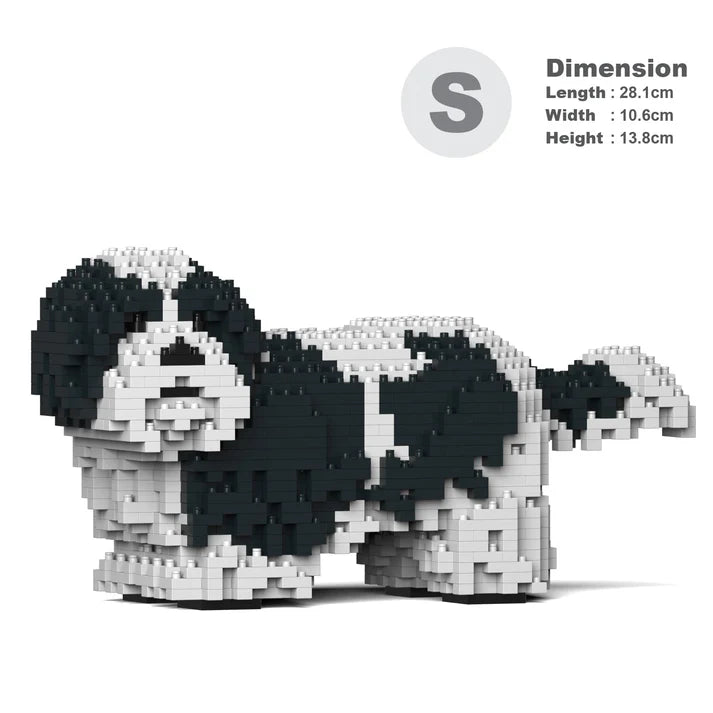 Shih Tzu 01-M02 