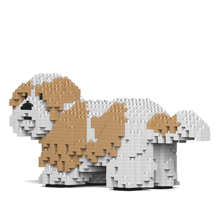 Shih Tzu 01-M04 