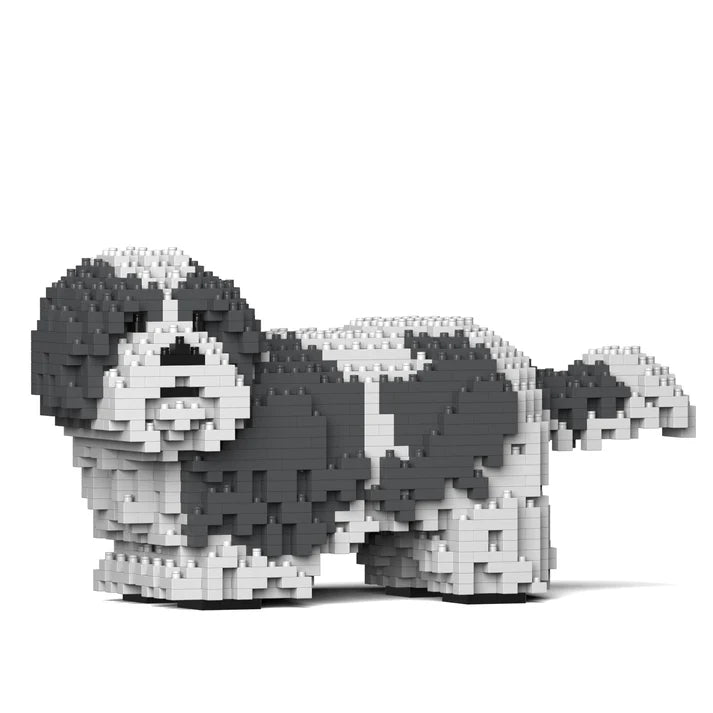 Shih Tzu 01-M05 