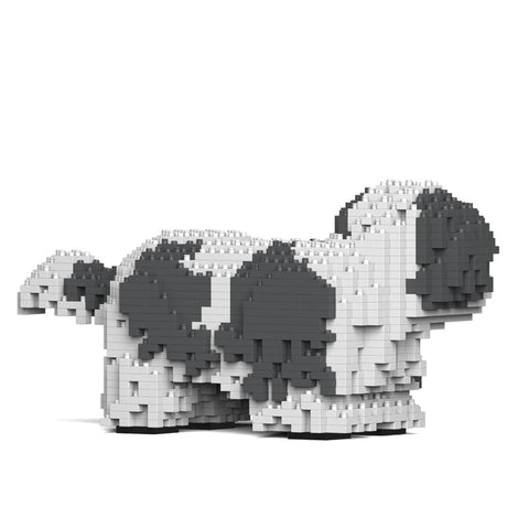 Shih Tzu 01-M05 