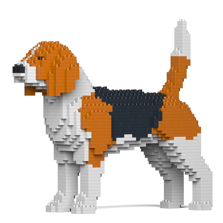 Beagle 01 