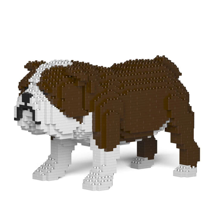 Bulldog Inglés 01-M01 