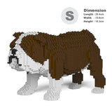 Englische Bulldogge 01-M01 