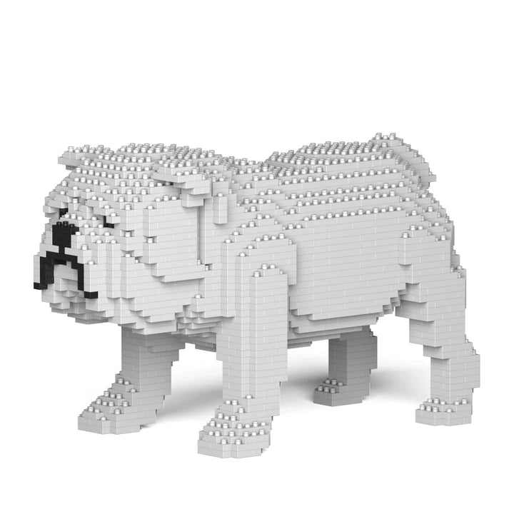 Englische Bulldogge 01-M02 