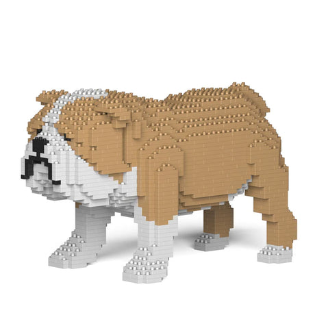 Englische Bulldogge 01-M03 