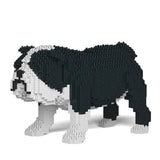 Englische Bulldogge 01-M04 