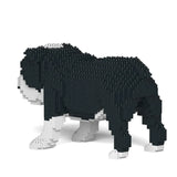 Englische Bulldogge 01-M04 