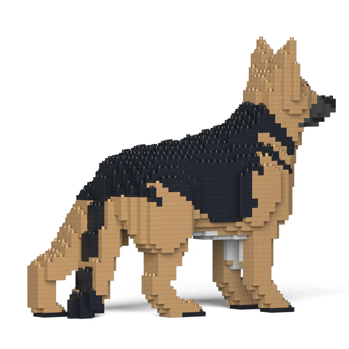 German Shepherd 01-M01