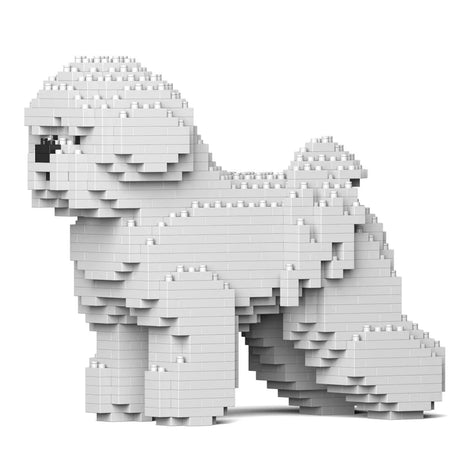 Bichon Frisé 01 