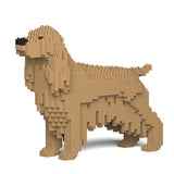 English Cocker Spaniel 01-M01