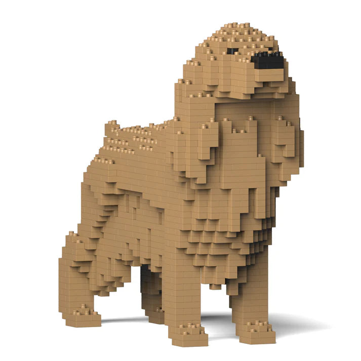 Englischer Cocker Spaniel 01-M01 