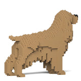 English Cocker Spaniel 01-M01