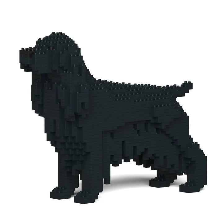 Cocker Spaniel Inglés 01-M02 