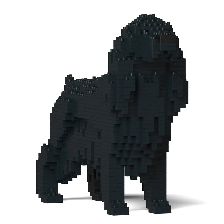 English Cocker Spaniel 01-M02