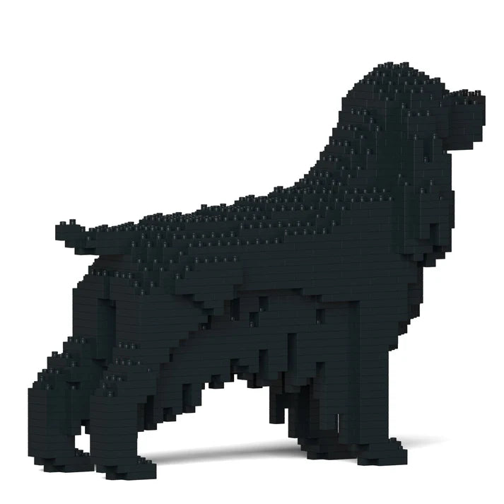 Cocker Spaniel Inglés 01-M02 