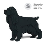 Englischer Cocker Spaniel 01-M02 