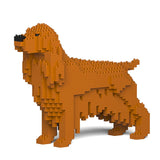 Englischer Cocker Spaniel 01-M03 