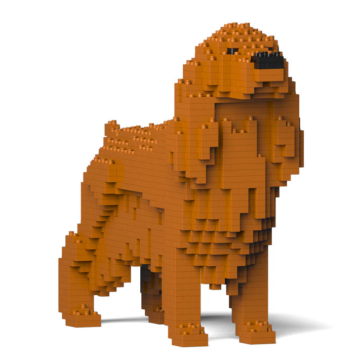 Englischer Cocker Spaniel 01-M03 