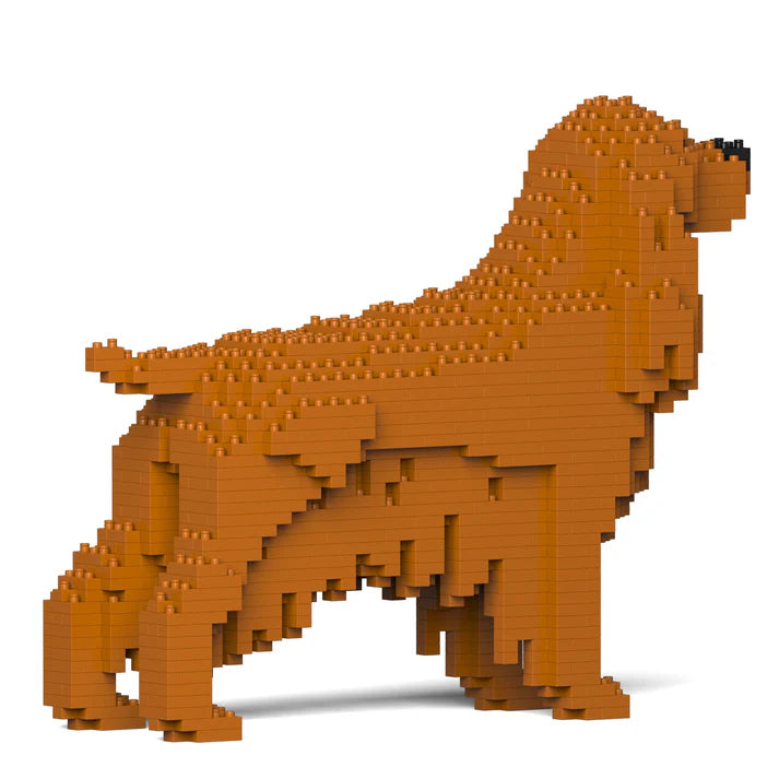 Englischer Cocker Spaniel 01-M03 