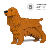 Englischer Cocker Spaniel 01-M03 