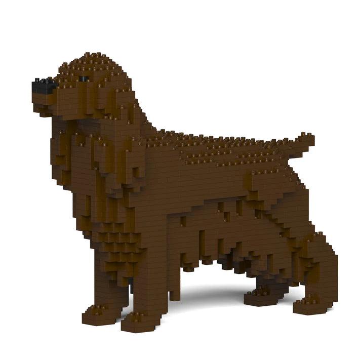 English Cocker Spaniel 01-M04